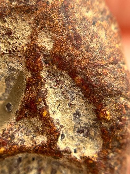 พระปิดตาหลวงพ่อแก้วพิมพ์หลังแบบ(135) รูปที่ 14