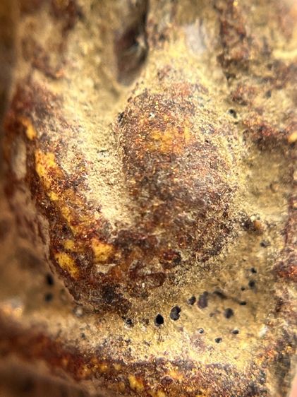 พระปิดตาหลวงพ่อแก้วพิมพ์หลังแบบ(135) รูปที่ 6