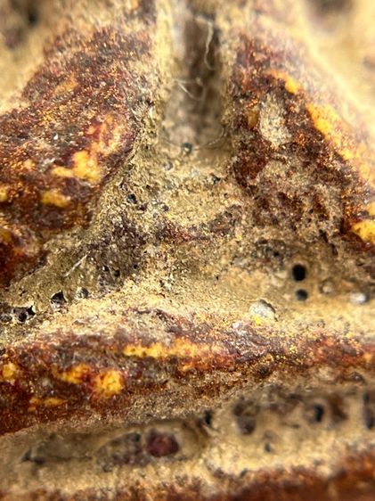 พระปิดตาหลวงพ่อแก้วพิมพ์หลังแบบ(135) รูปที่ 8