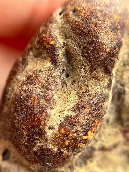 พระปิดตาหลวงพ่อแก้วพิมพ์หลังแบบ(135) รูปที่ 12