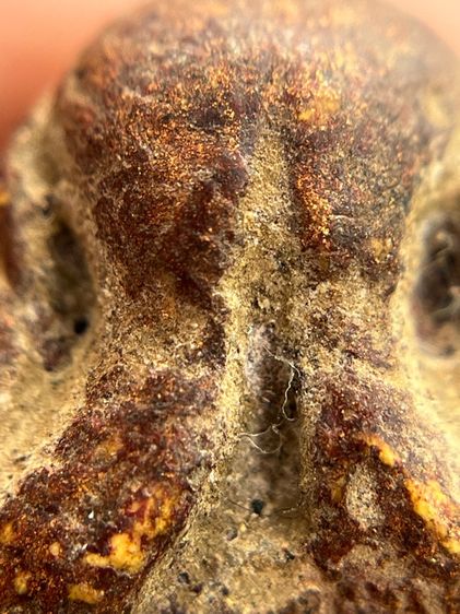 พระปิดตาหลวงพ่อแก้วพิมพ์หลังแบบ(135) รูปที่ 9