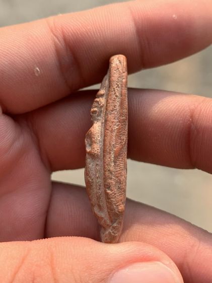 พระลีลาเนื้อดินเก่า รูปที่ 3