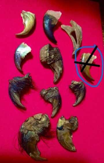 ของทลสิทธิ์เสริมอำนาจบารมี..ขายเหมา 9 ชิ้น.. เล็บแท้เดิมสภาพเยี่ยม