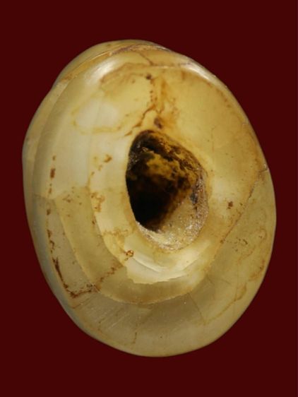 Iสือ หลวงพ่อปานวัดคลองด่าน จ.สมุทรปราการ รูปที่ 5