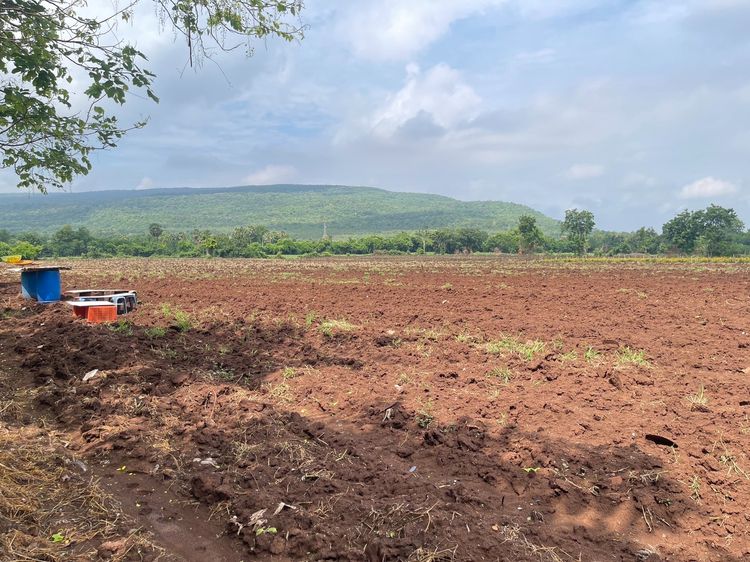 ขายที่ดิน (เจ้าของขายเอง)โฉนด 16-1-45 ติดถนนสุรนารายณ์ ขาเข้า อ.โคกสำโคกสำโรง จ.ลพบุรี ที่ดินอยู่ฝั่งตรงข้ามวัดเขาจรเข้ รูปที่ 2