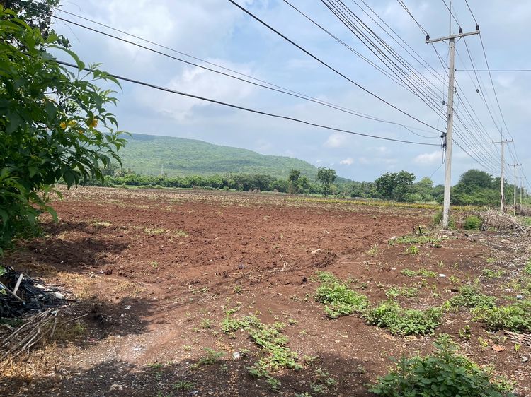 ขายที่ดิน (เจ้าของขายเอง)โฉนด 16-1-45 ติดถนนสุรนารายณ์ ขาเข้า อ.โคกสำโคกสำโรง จ.ลพบุรี ที่ดินอยู่ฝั่งตรงข้ามวัดเขาจรเข้ รูปที่ 4