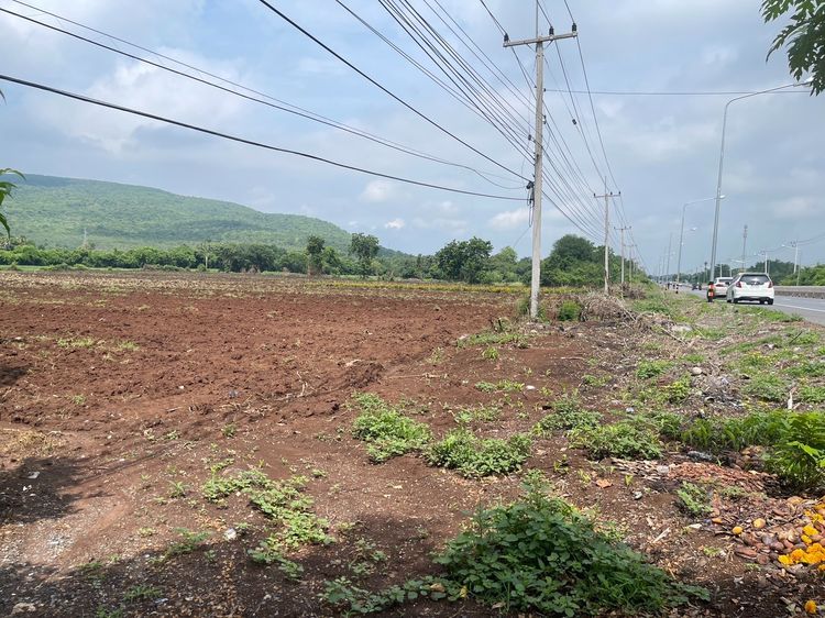 ขายที่ดิน (เจ้าของขายเอง)โฉนด 16-1-45 ติดถนนสุรนารายณ์ ขาเข้า อ.โคกสำโคกสำโรง จ.ลพบุรี ที่ดินอยู่ฝั่งตรงข้ามวัดเขาจรเข้ รูปที่ 3