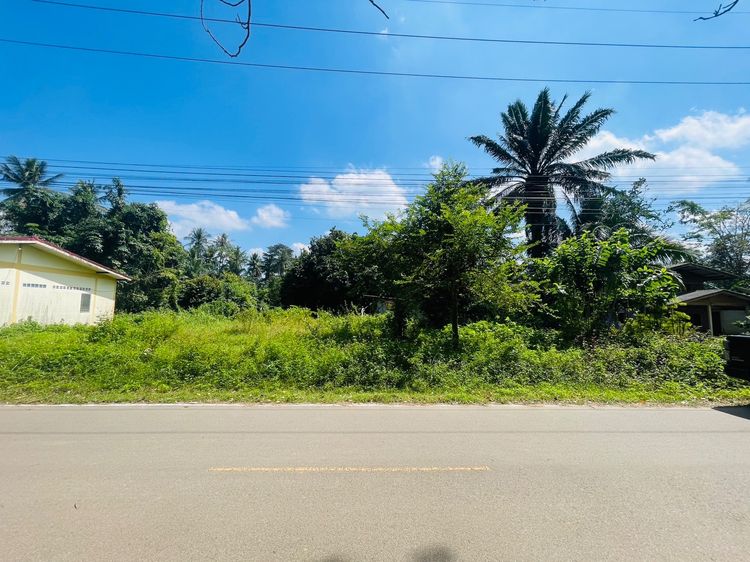 ที่ดินเปล่า85ตารางวาตำบลกระบี่น้อยเมืองกระบี่ รูปที่ 3
