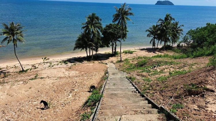 ใช่ ที่ดิน รูปที่ 2