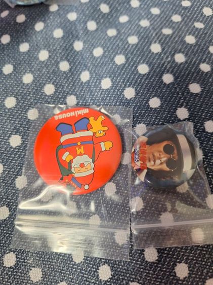 เข็มกลัดเท่ ๆ รูปที่ 10