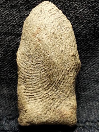 พระรอดลำพูนพิมพ์ใหญ่เนื้อโทนขาวครับ รูปที่ 10