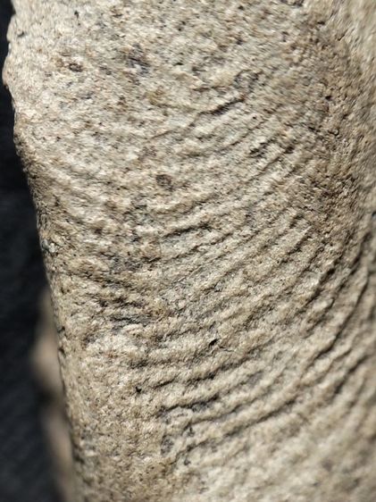 พระรอดลำพูนพิมพ์ใหญ่เนื้อโทนขาวครับ รูปที่ 17