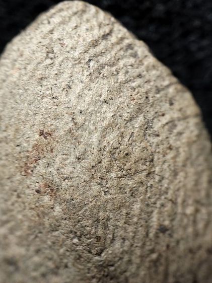 พระรอดลำพูนพิมพ์ใหญ่เนื้อโทนขาวครับ รูปที่ 15