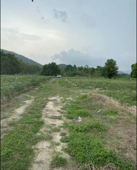 📌 ประกาศขายที่ดิน — ตำบลห้วยโป่ง อำเภอเมือง จังหวัดระยอง