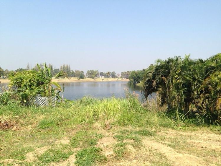 ที่ดินโครงการปาล์มฮิลล์หัวหิน รูปที่ 2