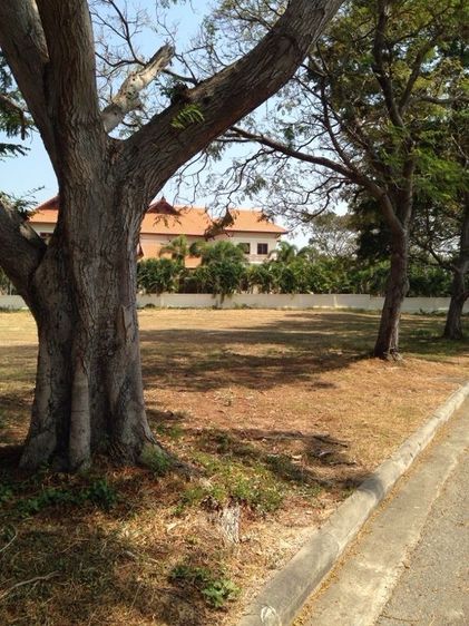 ที่ดินโครงการปาล์มฮิลล์หัวหิน รูปที่ 3