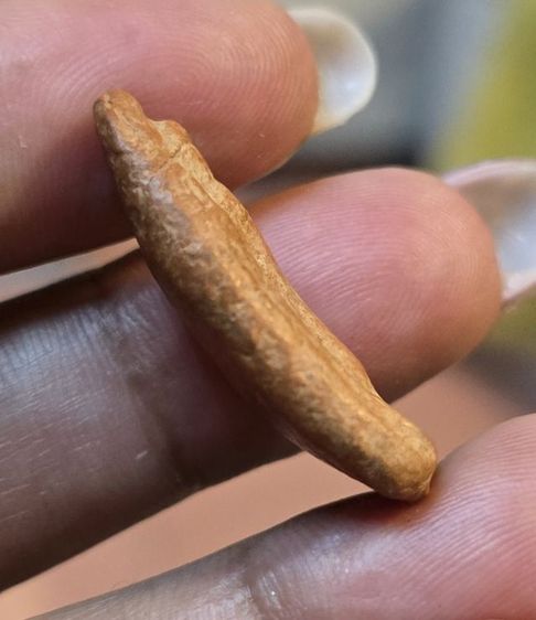 สิวลีหลวงพ่อกวยสะพายย่ามหายาก350รวมส่ง รูปที่ 6