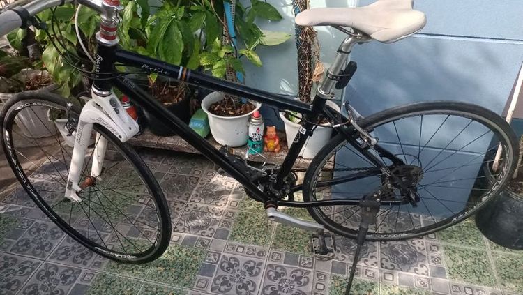 จักรยานไฮบริด รูปที่ 2