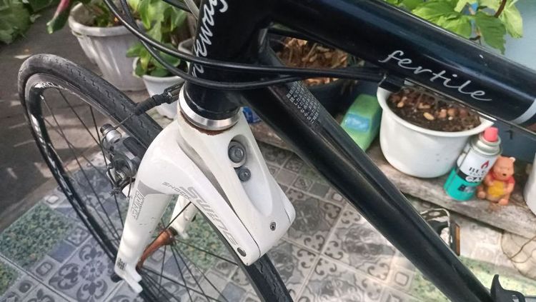 จักรยานไฮบริด รูปที่ 10