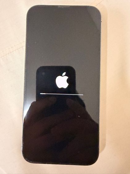 Iphone 13 Pro Max 256 GB