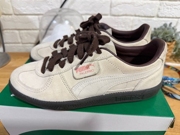 puma  รูปที่ 2