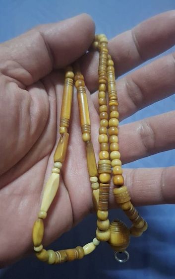 สร้อยงา รูปที่ 2