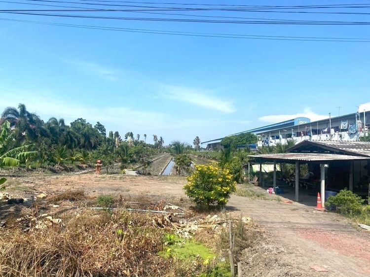 ขายที่ดินเปล่า เนื้อที่ 8 ไร่ 1 งาน 15 ตารางวา ติดถนนเส้น 375 นครปฐม–ดอนตูม รูปที่ 3