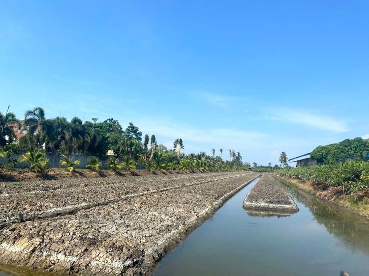 ขายที่ดินเปล่า เนื้อที่ 8 ไร่ 1 งาน 15 ตารางวา ติดถนนเส้น 375 นครปฐม–ดอนตูม รูปที่ 4