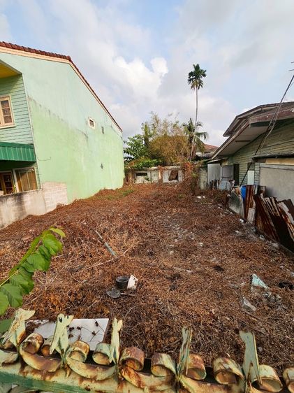 🥉🥈ขายด่วน‼️ที่ดินถมแล้ว40ตารางวา ซอยท่าข้ามใกล้ตลาด ที่ดินปลูกบ้าน รูปที่ 2