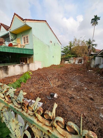 🥉🥈ขายด่วน‼️ที่ดินถมแล้ว40ตารางวา ซอยท่าข้ามใกล้ตลาด ที่ดินปลูกบ้าน รูปที่ 3