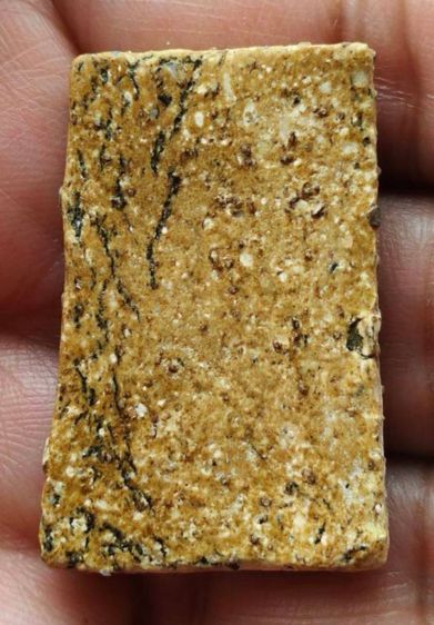 พระสมเด็จวัดระฆัง พิมพ์ฐานแซม รูปที่ 8