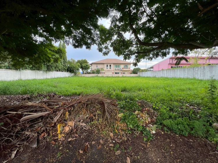 ขายที่ดินเปล่าถมแล้ว หมู่บ้านกรีนวัลเล่ย์ บางนา-ตราด กม.15 แปลงสวย ทำเลดี พร้อมสร้างบ้าน