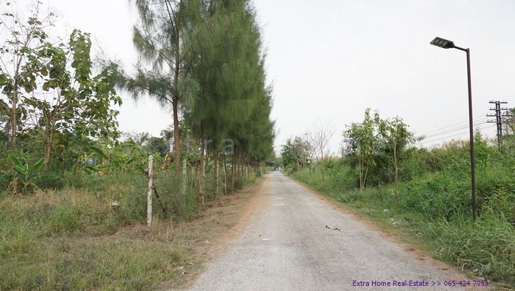 ที่ดินติดริมน้ำ เขตทวีวัฒนา กรุงเทพฯ เนื้อที่ 1ไร่ อากาศดี รูปที่ 3
