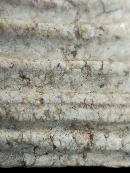 เกศทะลุซุ้ม. รูปที่ 8