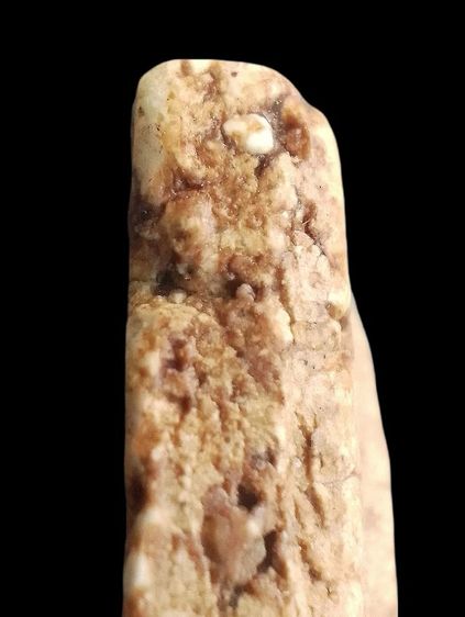 เกศทะลุซุ้ม. รูปที่ 17