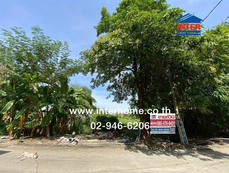 ที่ดินเปล่า 152.5 ตร.ว. ที่ดิน ซอยรามอินทรา117 ถนนรามอินทรา ถนนเจริญพัฒนา เขตคลองสามวา กรุงเทพมหานคร