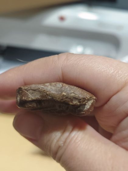 พระเครื่องโบราณไม่ทราบที่มา รูปที่ 6