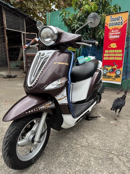 YAMAHA FILANO 115fi หัวฉีดออโต้สตาร์ทมือเครื่องดีมากสีสวยมากต้องมาดูของจริงมีสถานที่ให้ทดลองขับขี่ก่อนซื้อ รูปที่ 9