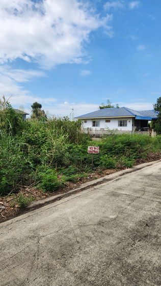 ใช่ ขายที่ดิน 94 วา ซอยวัดไพร่ฟ้า ซอยชมพูทิพย์  ปทุมธานี เจ้าของชายเอง  วาละ 15,000  บาท ต่อรองได้ พร้อมโอน สนใจ ขอโลเคชั่นได้ครับ   รูปที่ 3