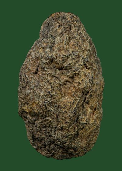 พระปิดตาเก่าเนื้อผง รูปที่ 2