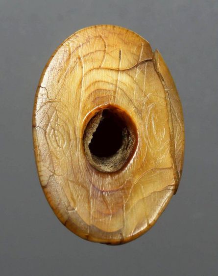 เสือหลวงพ่อปาน รูปที่ 3