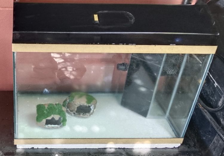 ตู้ปลาพร้อมเลี้ยง  24 นิ้ว 