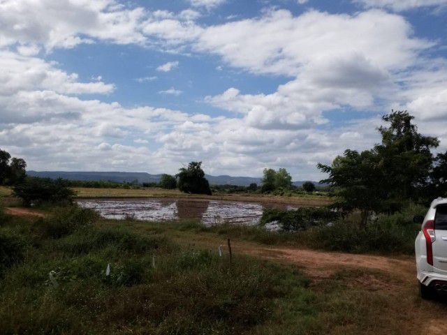 ใช่ ที่ดิน ต.บ้านพร้าว อ.นครไทย จ.พิษณุโลก รูปที่ 4