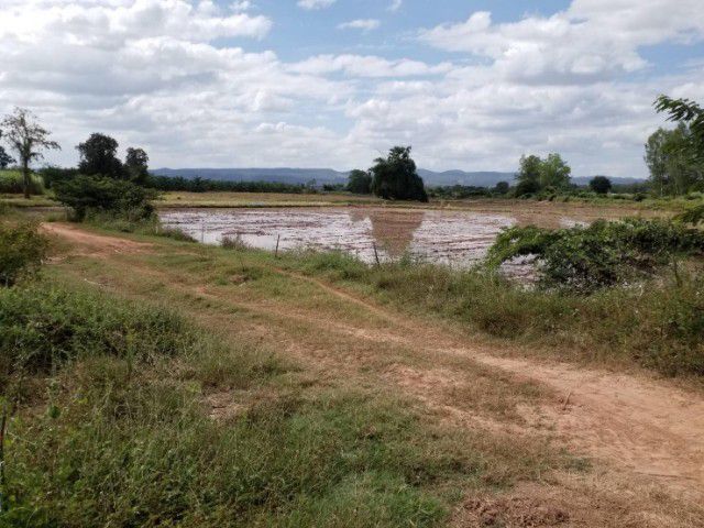 ใช่ ที่ดิน ต.บ้านพร้าว อ.นครไทย จ.พิษณุโลก รูปที่ 3