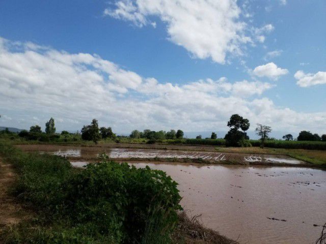 ใช่ ที่ดิน ต.บ้านพร้าว อ.นครไทย จ.พิษณุโลก รูปที่ 2