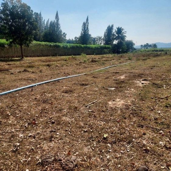 ไม่ใช่ ที่ดินเปล่าให้เช่าด้านหลังติดคลอง รูปที่ 2