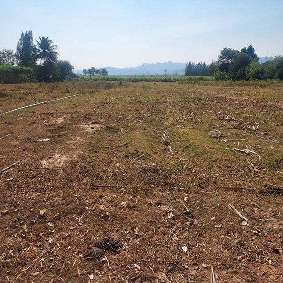 ที่ดินเปล่าให้เช่าด้านหลังติดคลอง