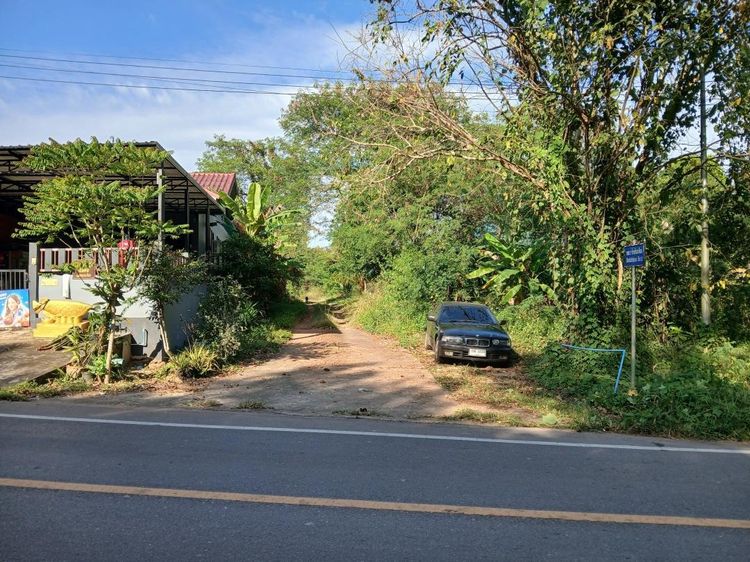 ขายที่ดินเปล่าโฉนด 1 งาน 14 ตร.ว. อยู่ในชุมชน ตำบลนาชะอัง อำเภอเมืองชุมพร ห่างศาลากลางจังหวัดเพียง 3 กม. ที่เนินปลอดภัยจากน้ำท่วม รูปที่ 3