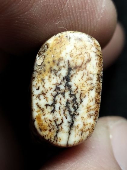 พระฤาษีครับ รูปที่ 5