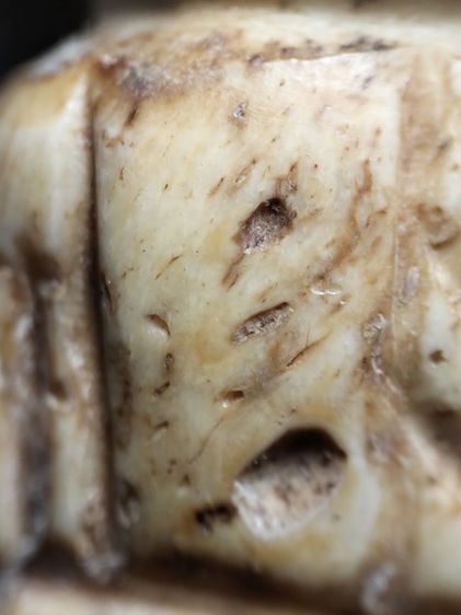 พระฤาษีครับ รูปที่ 12